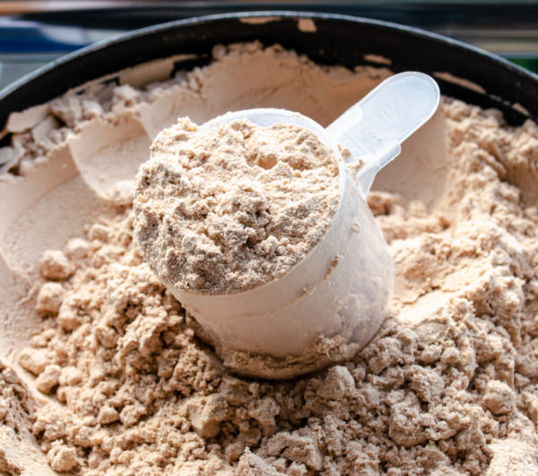 Premium protein powder in a measuring scoop