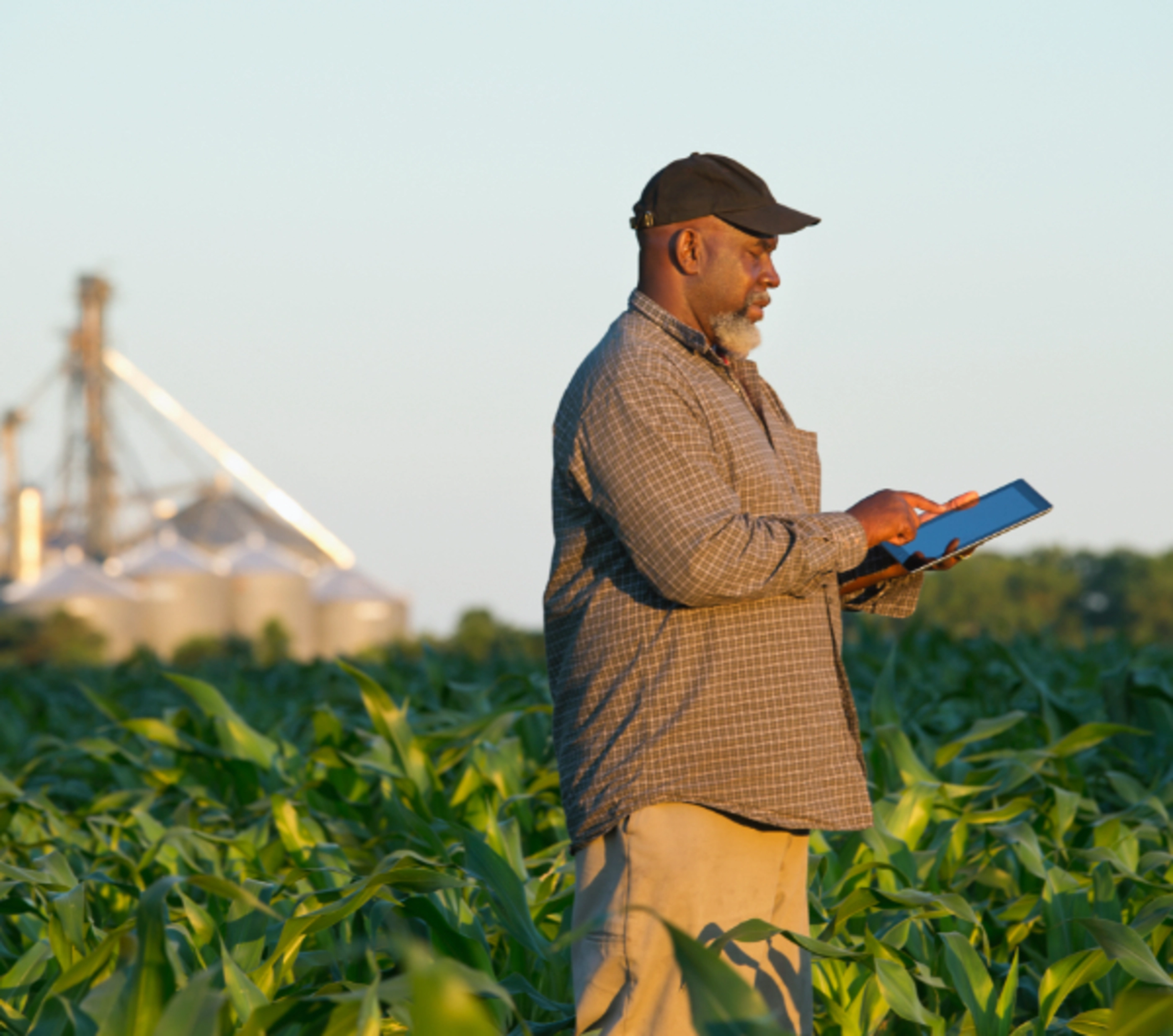 A farmer standing in his field and looking at a tablet.
