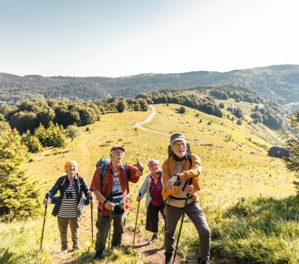 a group of people hiking